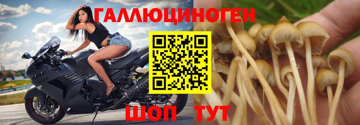 Галлюциногенные грибы MAGIC MUSHROOMS  Вход с VPN  Улан-Удэ 